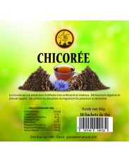 Chicorée dosettes