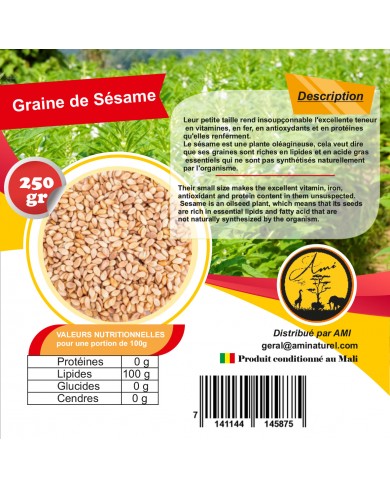 Sésame en graine
