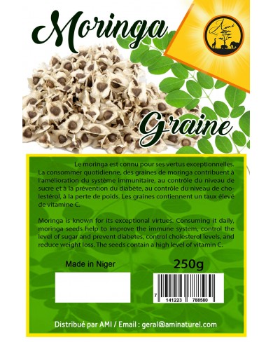 Moringa graines