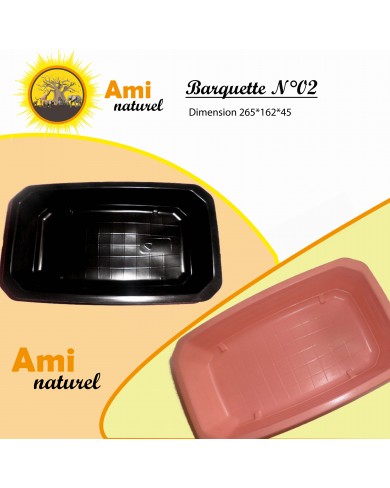 Barquette nº02